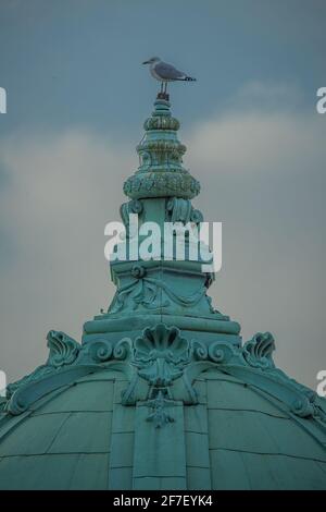 Eine weiße und graue Möwe, die auf dem scharfen grünen Kupferdach eines alten Vintage-Gebäudes oder einer alten Kirche auf einem bewölkten Himmel steht. Stockfoto