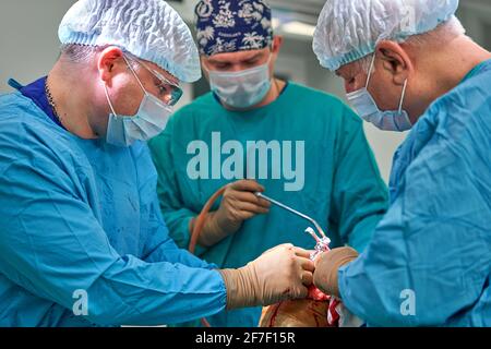 Ärzte arbeiten hart im Operationssaal Stockfoto