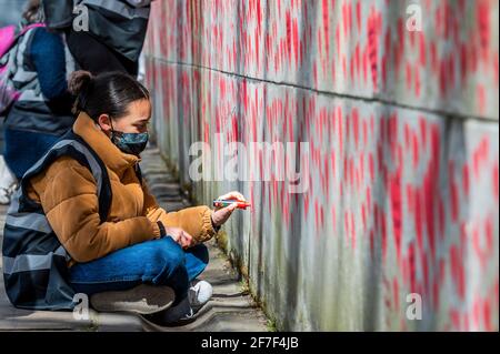 London, Großbritannien. April 2021. Nach einer Woche nähert sich die Mauer ihrer Fertigstellung und erstreckt sich bis zur Lambeth Bridge - der nationalen Covid Memorial Wall vor dem St. Thomas' Hospital auf der southbank. Familie und Freunde von einigen der mehr als hundertfünfundvierzigtausend Menschen, die ihr Leben an Covid-19 verloren haben, ziehen mit der Hand Herzen an eine Wand gegenüber dem Parlament in London. Jedes Herz repräsentiert jemanden, der geliebt wurde. Dieses temporäre Mahnmal wurde von den Covid-19 Hinterbliebenen Familien der Gerechtigkeit organisiert. Kredit: Guy Bell/Alamy Live Nachrichten Stockfoto