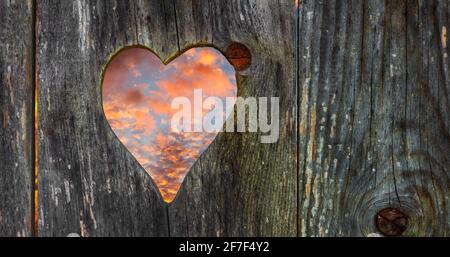 Herz blickt in den Himmel Stockfoto