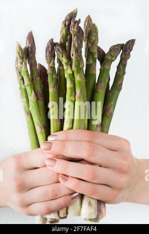 Frau hält ein Paket grünen Spargels in den Händen, Finger mit roségoldfarbenem Nagellack, weißer Hintergrund. Stockfoto