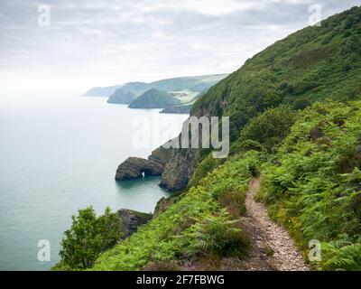 Der South West Coast Path in Wringapeak an der Küste des Exmoor National Parks mit Valley of the Rocks und Foreland Point Beyond, North Devon, England. Stockfoto