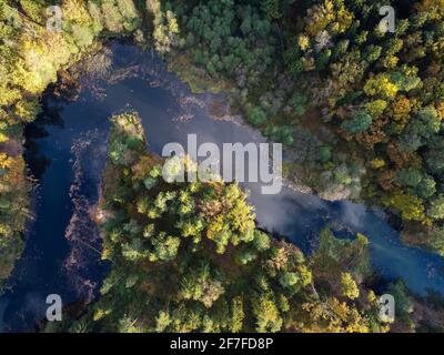 Luftaufnahme der sommerlichen Waldlandschaft mit Fluss mit Spiegelung der weißen Wolken und blauem Himmel im Wasser. Nadelwälder, Draufsicht Stockfoto