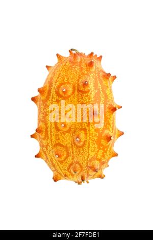 Kiwano Melonenfrucht oder gehörnte Melone isoliert auf weißem Hintergrund. Eine einzige afrikanische Horngurke Stockfoto