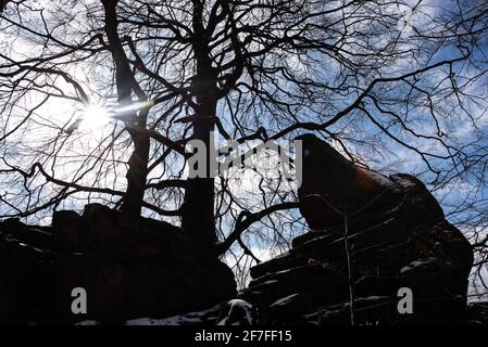 Bad Harzburg, Deutschland. April 2021. Blick auf den Aussichtspunkt Rabenklippe im Nationalpark Harz. Quelle: Swen Pförtner/dpa/Alamy Live News Stockfoto