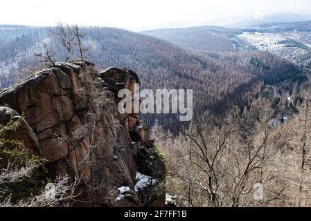 Bad Harzburg, Deutschland. April 2021. Blick auf die Rabenklippe und den Fichtenwald des Eckertals im Nationalpark Harz. Quelle: Swen Pförtner/dpa/Alamy Live News Stockfoto