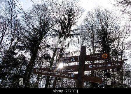 Bad Harzburg, Deutschland. April 2021. Die Sonne scheint hinter einem Wegweiser im Nationalpark Harz. Quelle: Swen Pförtner/dpa/Alamy Live News Stockfoto