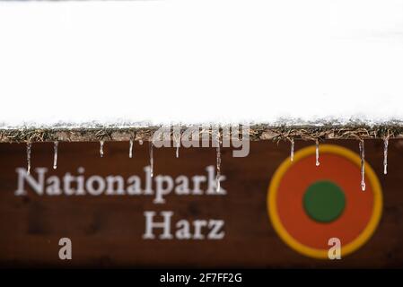 Bad Harzburg, Deutschland. April 2021. Kleine Eiszapfen sind vor einem Schild 'Nationalpark Harz' zu sehen. Quelle: Swen Pförtner/dpa/Alamy Live News Stockfoto