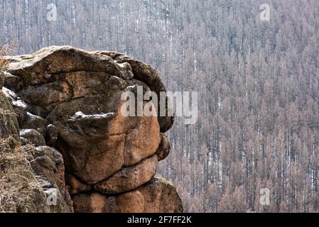 Bad Harzburg, Deutschland. April 2021. Blick auf die Rabenklippe und den Fichtenwald des Eckertals im Nationalpark Harz. Quelle: Swen Pförtner/dpa/Alamy Live News Stockfoto