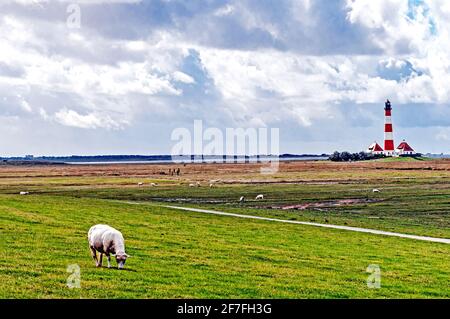 Wahrzeichen in der West-Küste von Schleswig-Holstein, Norddeutschland; Westerhever Leuchtturm, Wahrzeichen in Norddeutschland Stockfoto