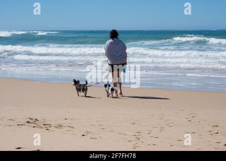 Frau, die mit ihren Hunden entlang der Küste läuft Stockfoto