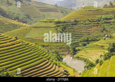 Reisterrassen in Mu Cang Chai, Vietnam, Indochina, Südostasien, Asien Stockfoto