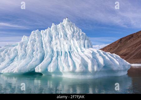 Eisberg kalbte vom Gletscher der Grönländischen Eiskappe in Bowdoin Fjord, Inglefield Golf, Baffin Bay, Grönland, Polarregionen Stockfoto