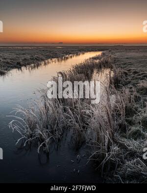 Morgendämmerung im Winter, Elmley National Nature Reserve, Isle of Sheppey, Kent, England, Vereinigtes Königreich, Europa Stockfoto