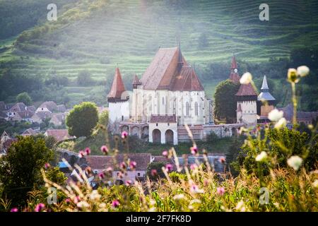 Lutherische Wehrkirche in Biertan (Birthalm), Kreis Sibiu, in der Region Siebenbürgen in Rumänien, Europa Stockfoto