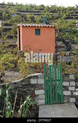 Gartenhaus a la France - die kleinen Familienweingüter von Roussillon haben Kasotten für die Lagerung von Ausrüstung für die Ernte und Pflege von Weinbergen. Stockfoto