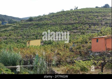 Gartenhaus a la France - die kleinen Familienweingüter von Roussillon haben Kasotten für die Lagerung von Ausrüstung für die Ernte und Pflege von Weinbergen. Stockfoto