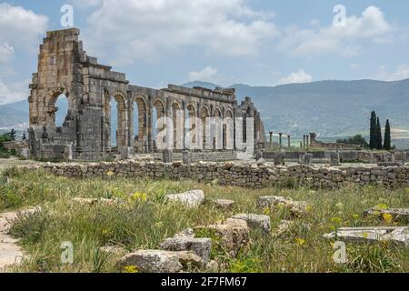 Historische Stätte der antiken römischen Ruinen von Volubilis, UNESCO-Weltkulturerbe, Marokko, Nordafrika, Afrika Stockfoto