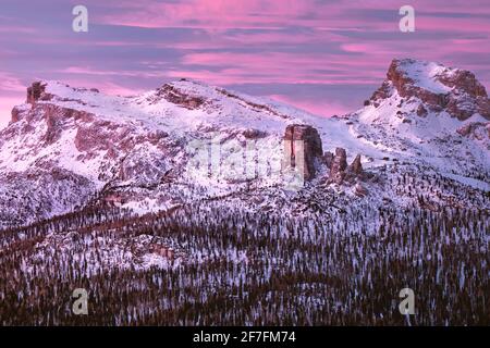 Rosafarbener Sonnenaufgang auf den Bergen der fünf Türme (Cinque Torri) im Winter mit Schnee, Dolomiten, Trentino-Südtirol, Italien, Europa Stockfoto