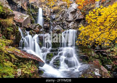 Langzeitbelichtung an den Dardagna Wasserfällen im Herbst, Parco Regionale del Corno alle Scale, Emilia Romagna, Italien, Europa Stockfoto