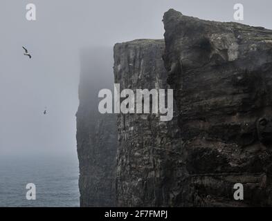 Klippen von Traelanipa über dem Ozean, Färöer-Inseln, Dänemark, Europa Stockfoto