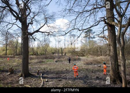 Denham, Großbritannien. April 2021. HS2-Sicherheitskräfte und Vollstreckungsagenten überwachen die Baumfällung für Strommasten-Umzugsarbeiten im Denham Country Park, der an die Hochgeschwindigkeitsstrecke HS2 angeschlossen ist. Tausende von Bäumen wurden bereits im Colne Valley gefällt, wo HS2-Arbeiten den Bau eines Viadukts im Colne Valley über Seen und Wasserstraßen sowie die Verlegung von Strommonen umfassen werden. Kredit: Mark Kerrison/Alamy Live Nachrichten Stockfoto