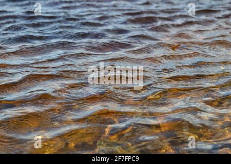 Detaillierte Nahaufnahme der Wasseroberflächen mit Wellen und Wellen und dem Sonnenlicht, das an der Oberfläche reflektiert wird. Frühlingslandschaft Stockfoto