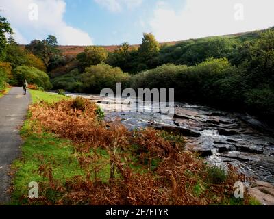 Der Fluss Avon in der Nähe der Shipley Bridge in Dartmoor, Devon. Stockfoto