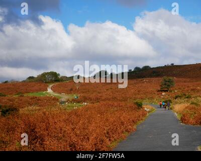 Der Weg hinauf zum Avon-Staudamm am Dartmoor, Devon. Stockfoto