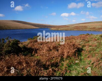 Der Avon Dam Stausee, in der Nähe von South Brent, Dartmoor, Devon. Stockfoto