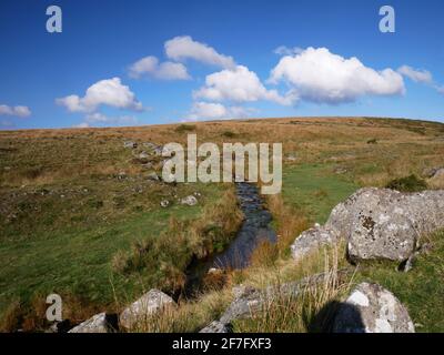 Brockhill Stream in der Nähe des Avon Stausees, Dartmoor, Devon. Stockfoto