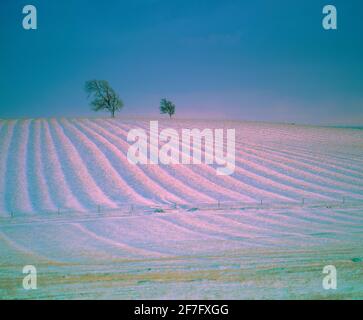 Wind fegte ländliche Schneeszene, Sonnenuntergang, Stockfoto