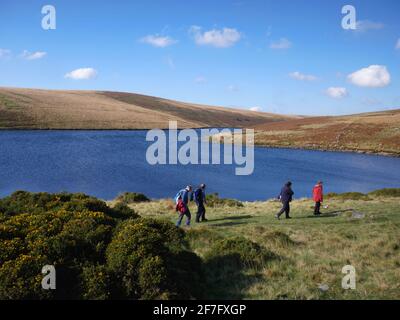 Spaziergänger neben dem Avon Dam Stausee, in der Nähe von South Brent, Dartmoor, Devon. Stockfoto