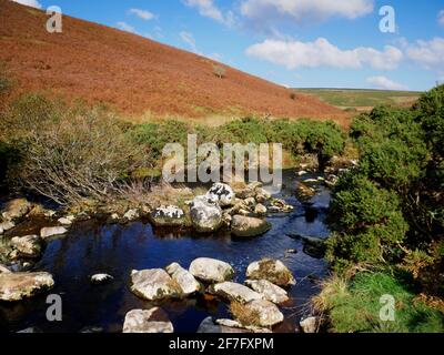 Der Fluss Avon fließt in Richtung Shipley Bridge bei South Brent, Dartmoor, Devon. Stockfoto