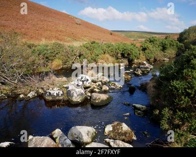 Der Fluss Avon fließt in Richtung Shipley Bridge bei South Brent, Dartmoor, Devon. Stockfoto