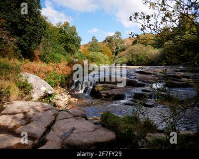 Der Fluss Avon in der Nähe der Shipley Bridge in Dartmoor, Devon. Stockfoto