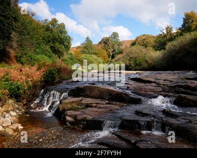 Der Fluss Avon in der Nähe der Shipley Bridge in Dartmoor, Devon. Stockfoto