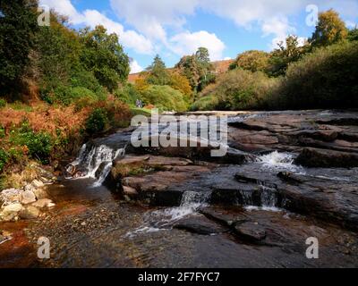 Der Fluss Avon in der Nähe der Shipley Bridge in Dartmoor, Devon. Stockfoto