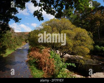 Fußweg am Fluss Avon in der Nähe der Shipley Bridge in Dartmoor, Devon. Stockfoto