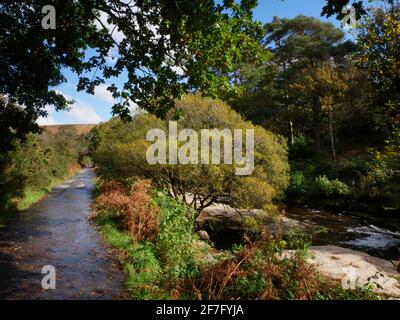 Fußweg am Fluss Avon in der Nähe der Shipley Bridge in Dartmoor, Devon. Stockfoto