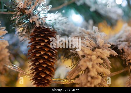 Fichtenbuckel auf dem Weihnachtsbaum, als Hintergrund verwendet Stockfoto