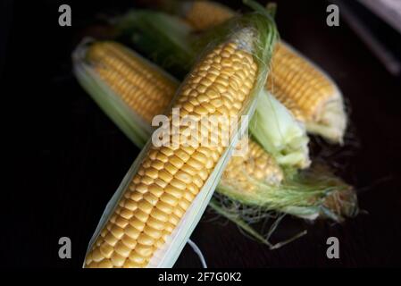 Vier goldene Ähren mit Blättern. Low-Taste. Draufsicht Stockfoto