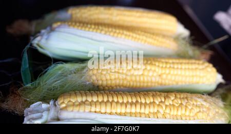 Vier goldene Ähren mit Blättern. Low-Taste. Draufsicht Stockfoto