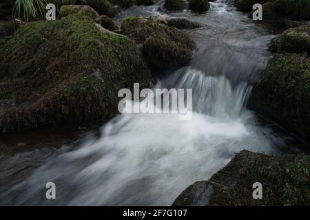 Kleiner Bach, Bach oder Bach in den Bergen, der über und zwischen runden Steinen und von Moos bedeckten Felsen fließt und fließt Stockfoto