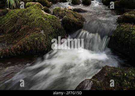 Kleiner Bach, Bach oder Bach in den Bergen, der über und zwischen runden Steinen und von Moos bedeckten Felsen fließt und fließt Stockfoto