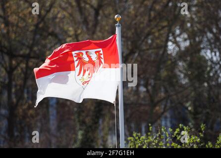 Potsdam, Deutschland. April 2021. Auf dem Dach eines Hauses eines Schottergartens weht die Flagge des Landes Brandenburg. Quelle: Soeren Stache/dpa-Zentralbild/ZB/dpa/Alamy Live News Stockfoto