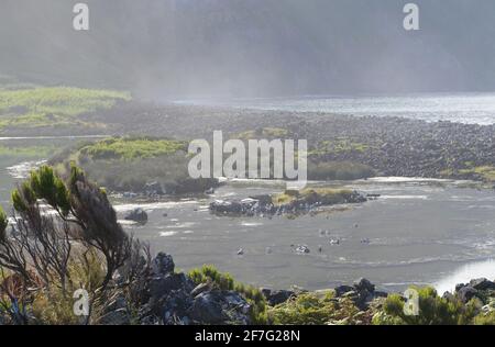 Die Küstenlagune Faja dos Cubres im Biosphärenreservat Fajas de Sao Jorge, Azoren-Archipel Stockfoto