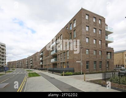 Neue Wohnblocks im Fielders Quarter, Teil des riesigen neuen Barking Riverside Development am östlichen Stadtrand von London, Großbritannien Stockfoto