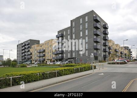 Neue Wohnblocks an der Mallards Road, Teil des riesigen neuen Barking Riverside Development am östlichen Stadtrand von London, Großbritannien Stockfoto