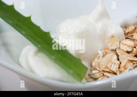 Inhaltsstoffe der Maske „Eierweiß“. Eiweiß, Aloe, Zucker, Haferflocken. Nahaufnahme. Stockfoto